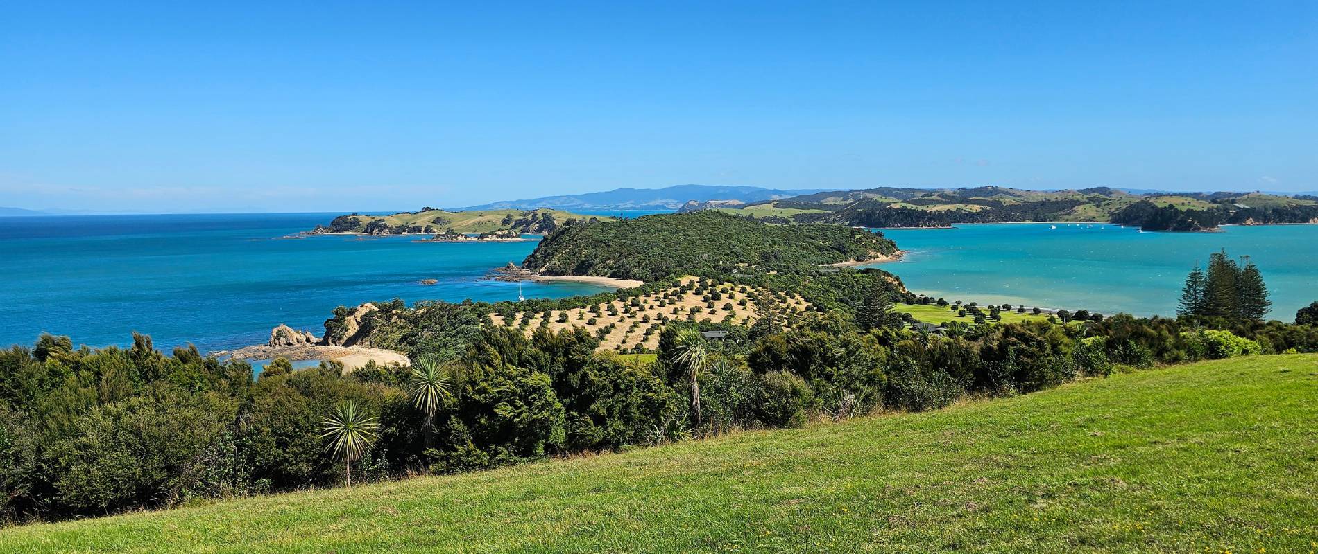 North Tower Lookout Walk on Rotoroa Island