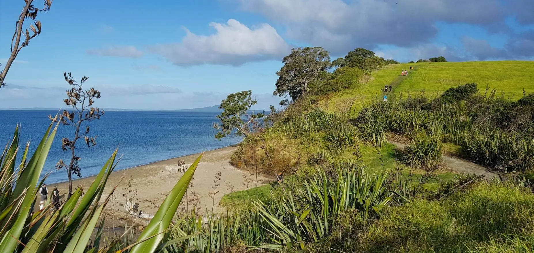Grannys Bay in Long Bay Regional Park Auckland