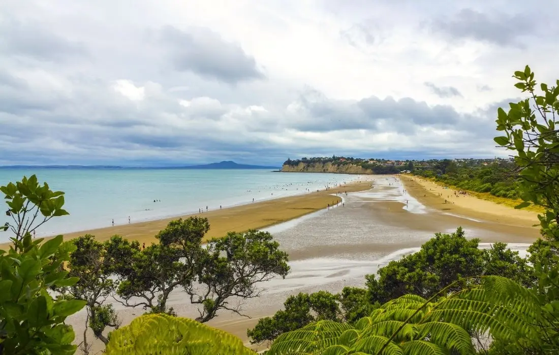 Long Bay Beach in Auckland