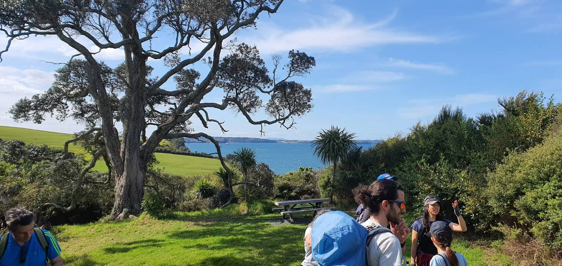 Long Bay Regional Park Walks in Auckland