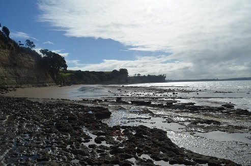 Looking to Okura River Mouth