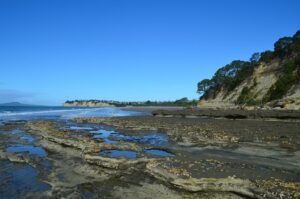 Return to Long Bay via the coast