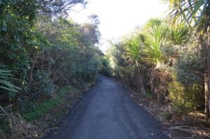 Track to Nature Trail