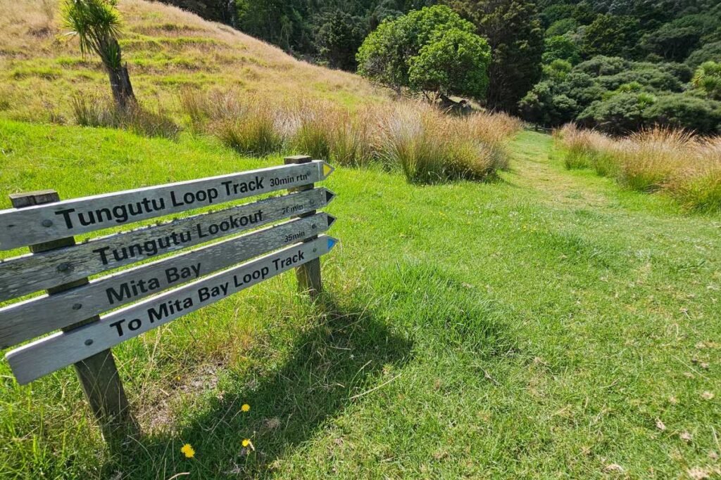 Tokatu Loop Track Tungutu Loop Track - Freewalks.nz