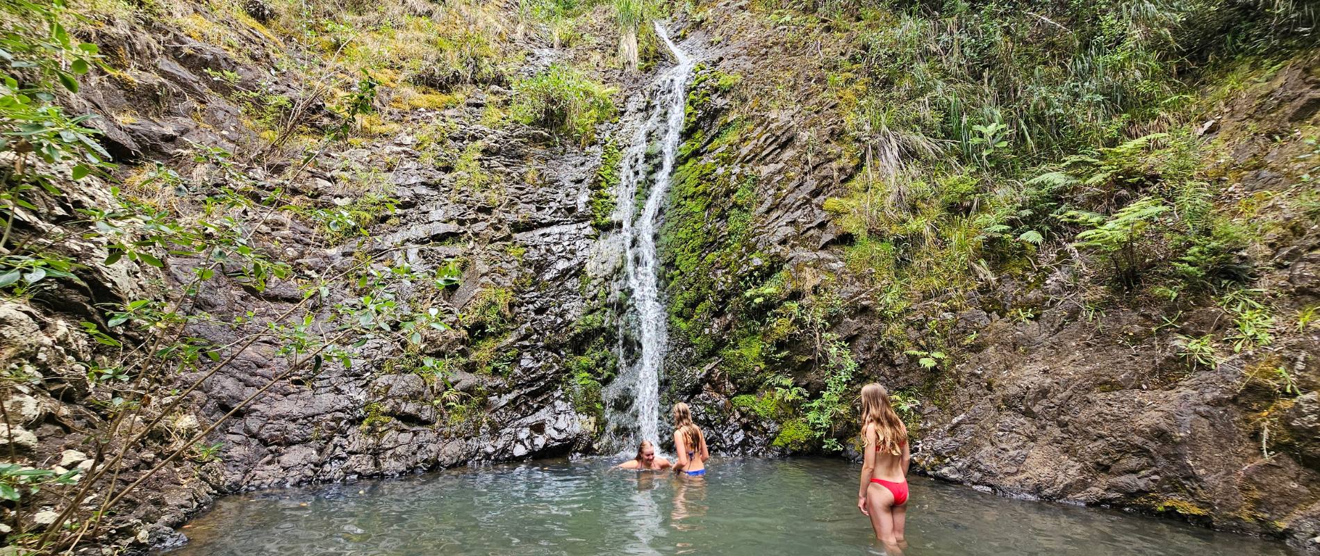 Warren's Waterfall Track