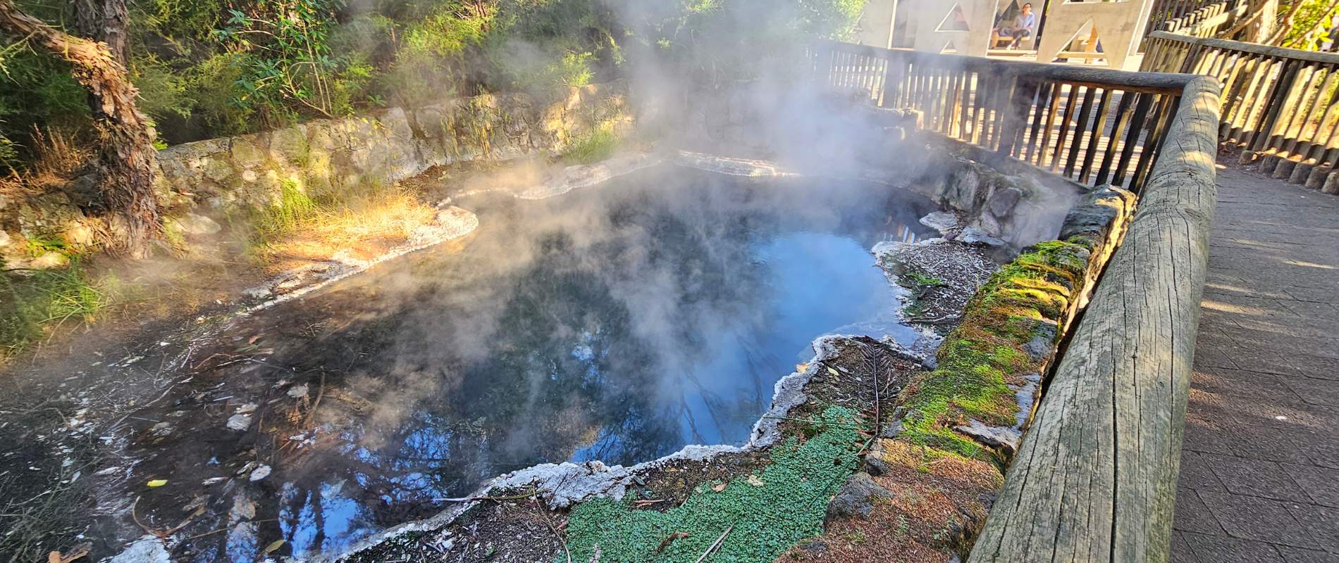 Rotorua Walks