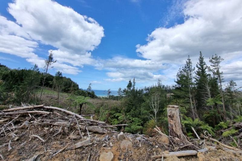 Waihi-Beach-Trig-Walk-3.