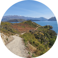 Walks in New Zealand - Wanaka Walks