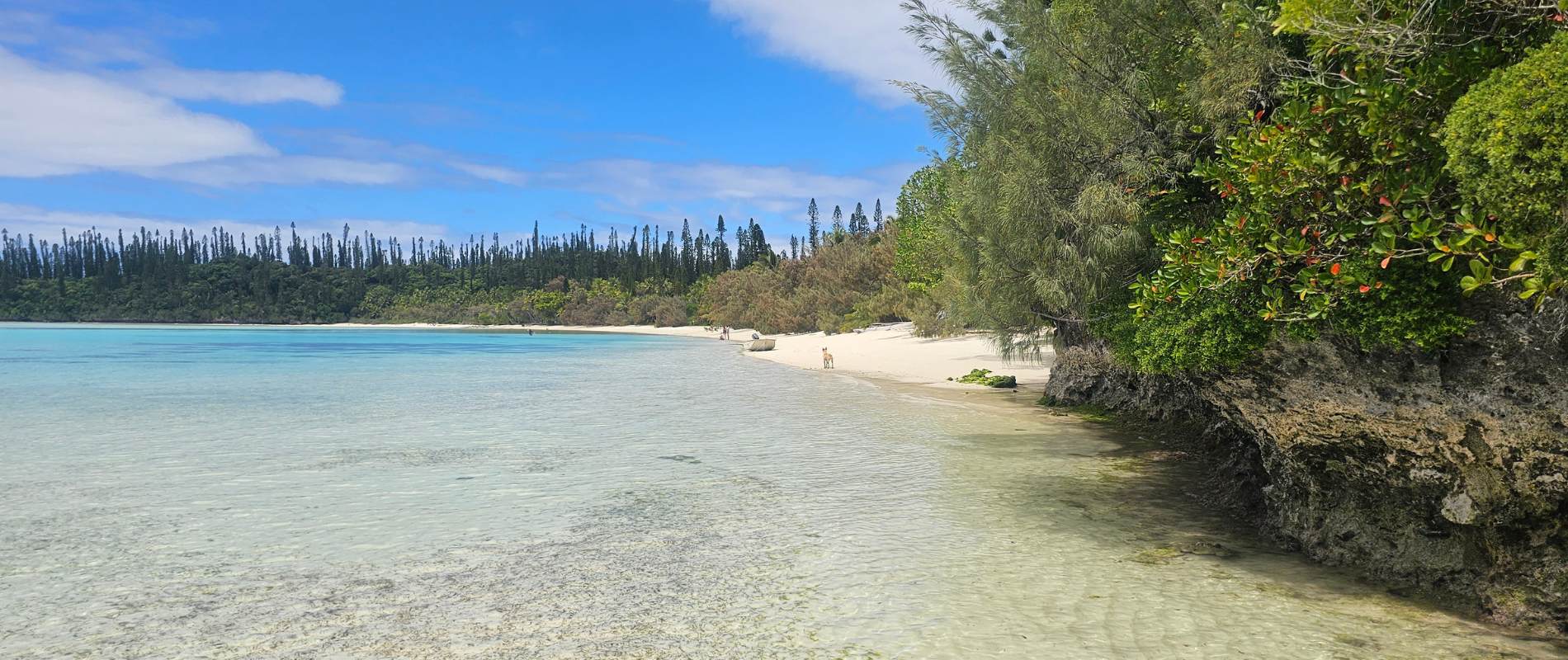 The Natural Pool, Isle of Pines