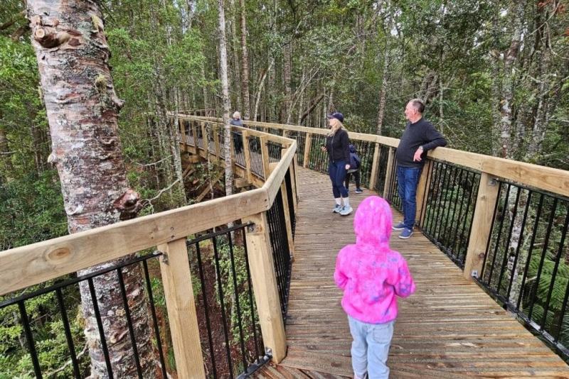 Visitors stroll on a scenic bridge at the Kauri Glen Reserve