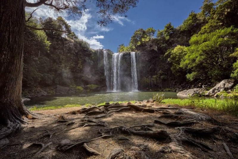 Whangarei Falls