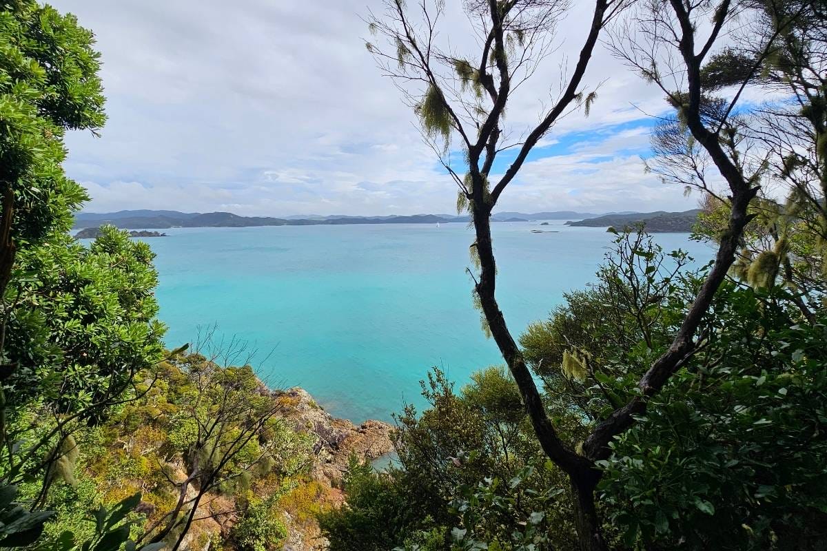 A scenic hike with a hint of ocean breeze