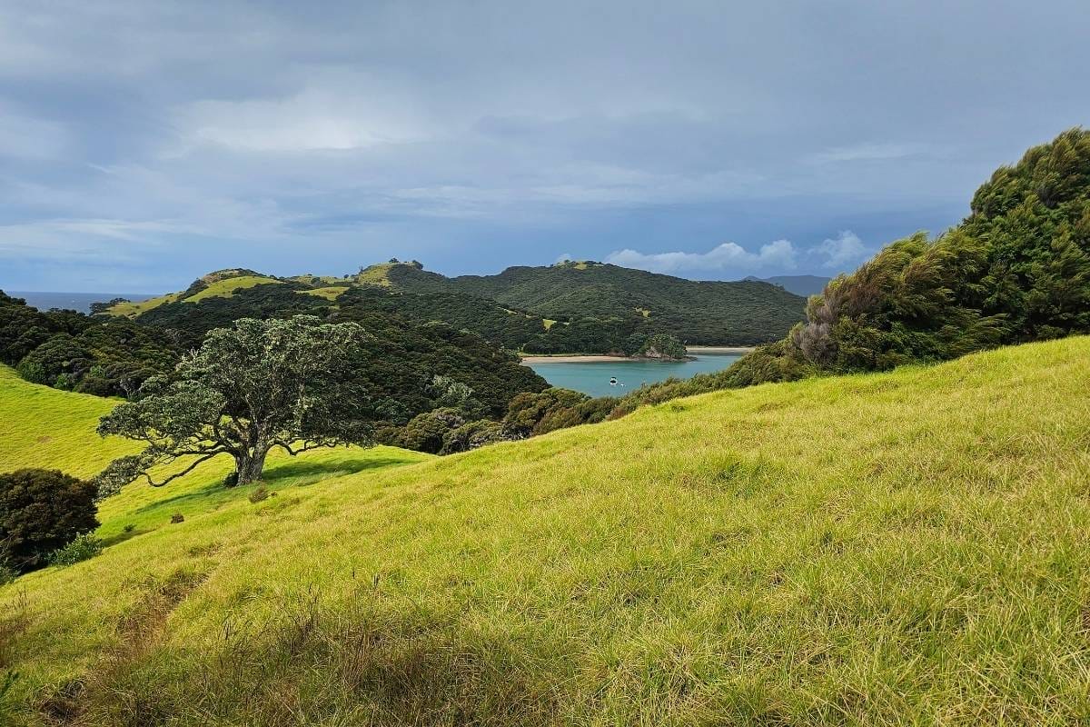 A verdant hillside and a crystal-clear lake