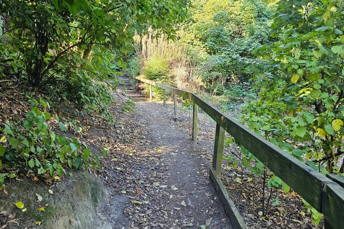 A wooden fence path leading into the woods, inviting exploration
