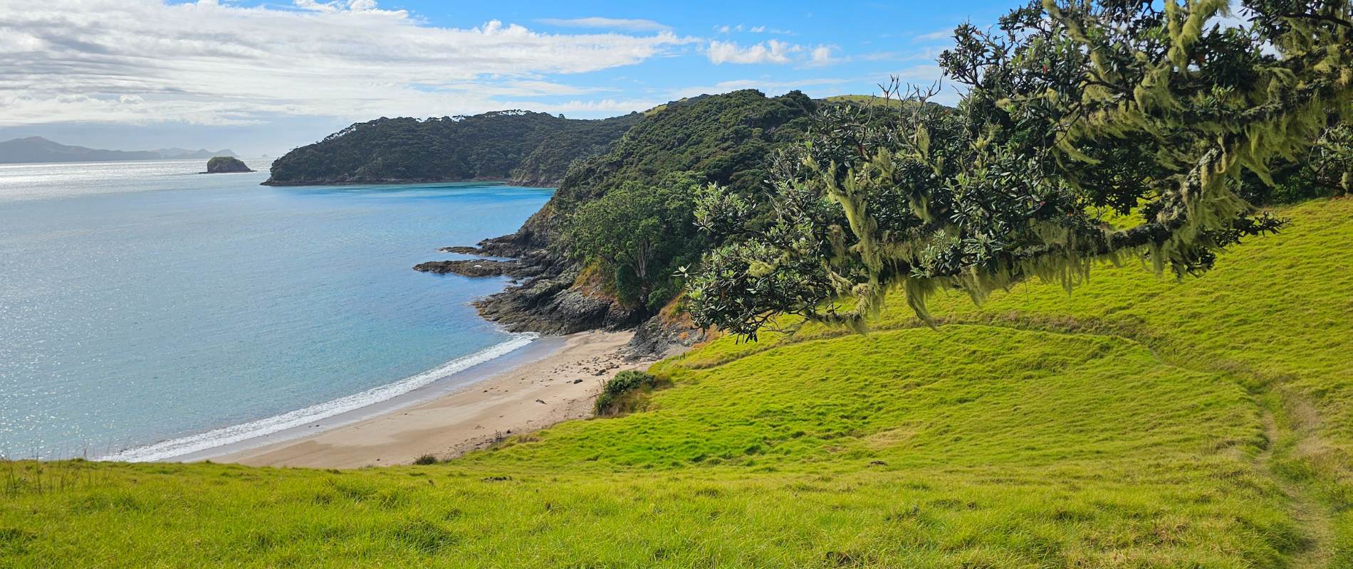 Akeake Peninsula Return Walk