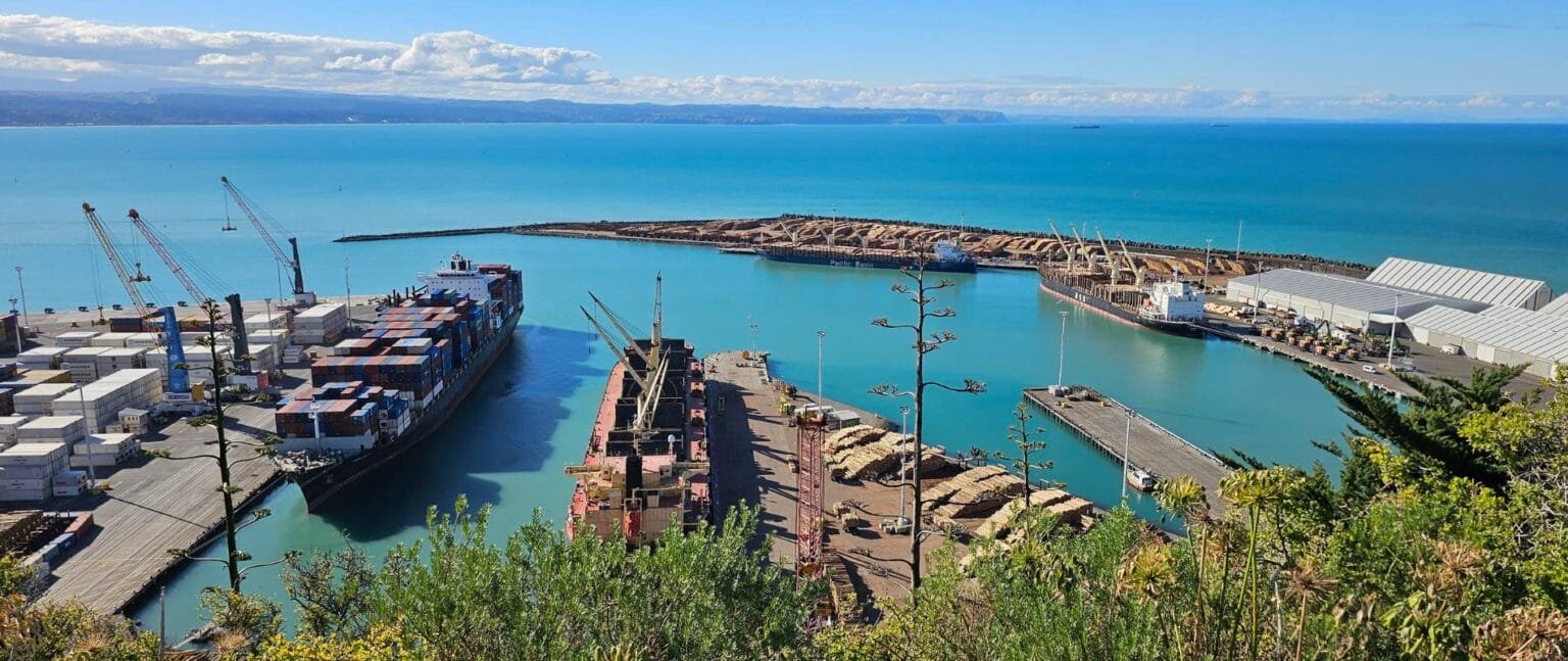 Napier Ridge The best walking & hiking tracks in Napier | North Island