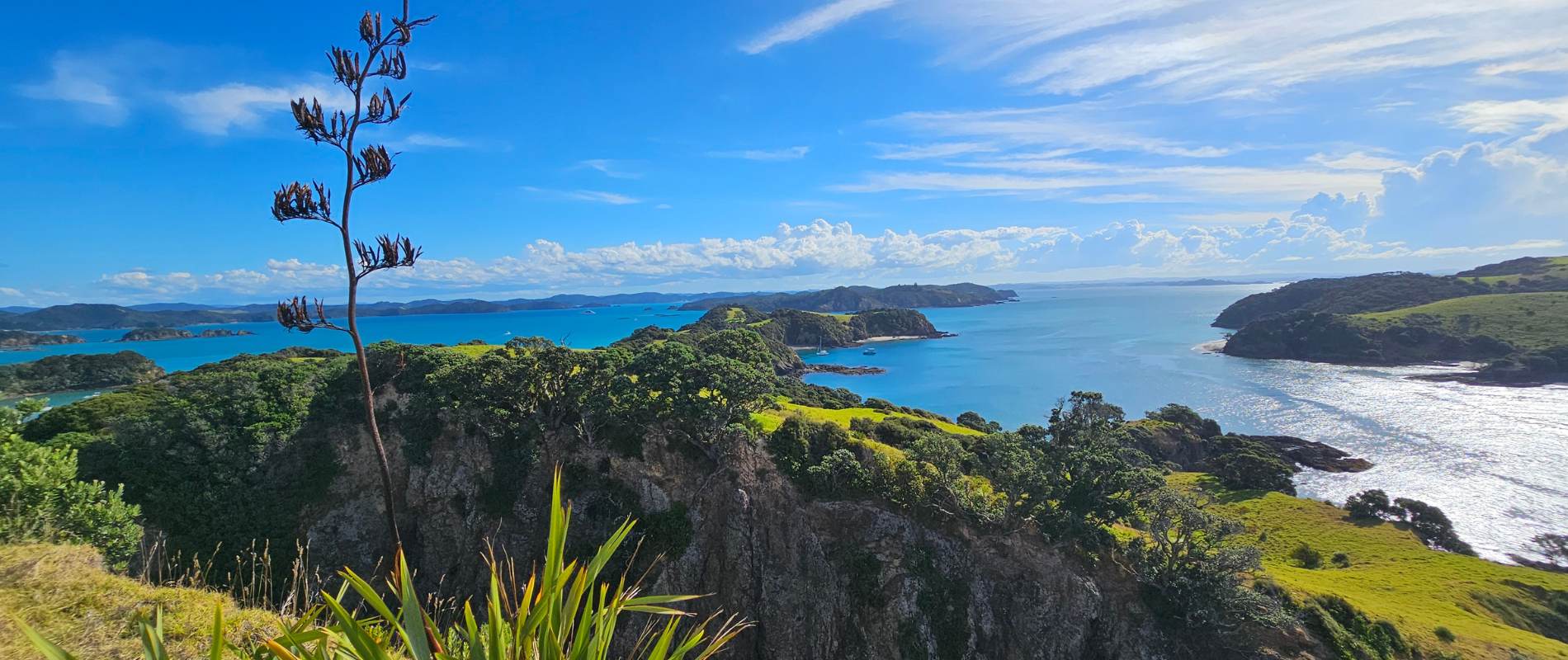Cliff-Pa-Loop-Walk-Urupukapuka-Island