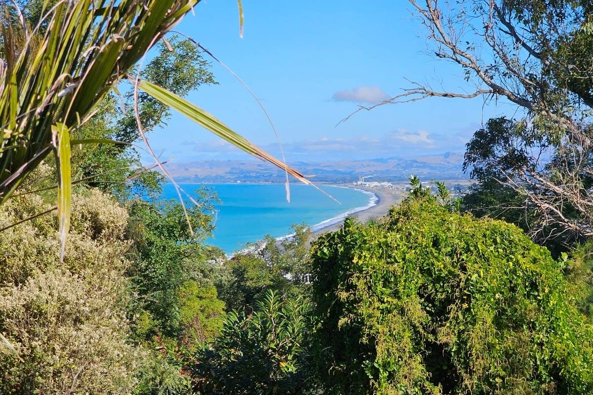 Descending into the emerald embrace of the forest