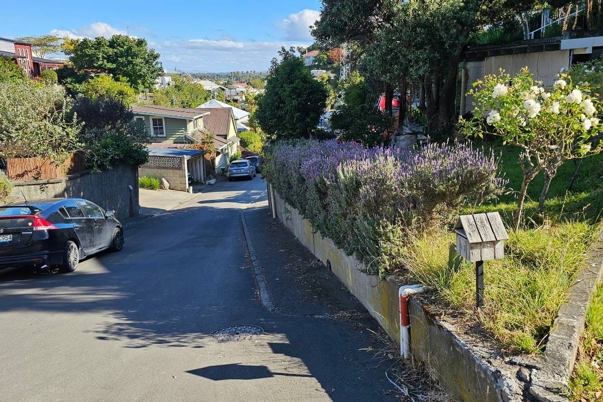 Sunlight dappled steps, worn smooth by time, lead the way into the forest