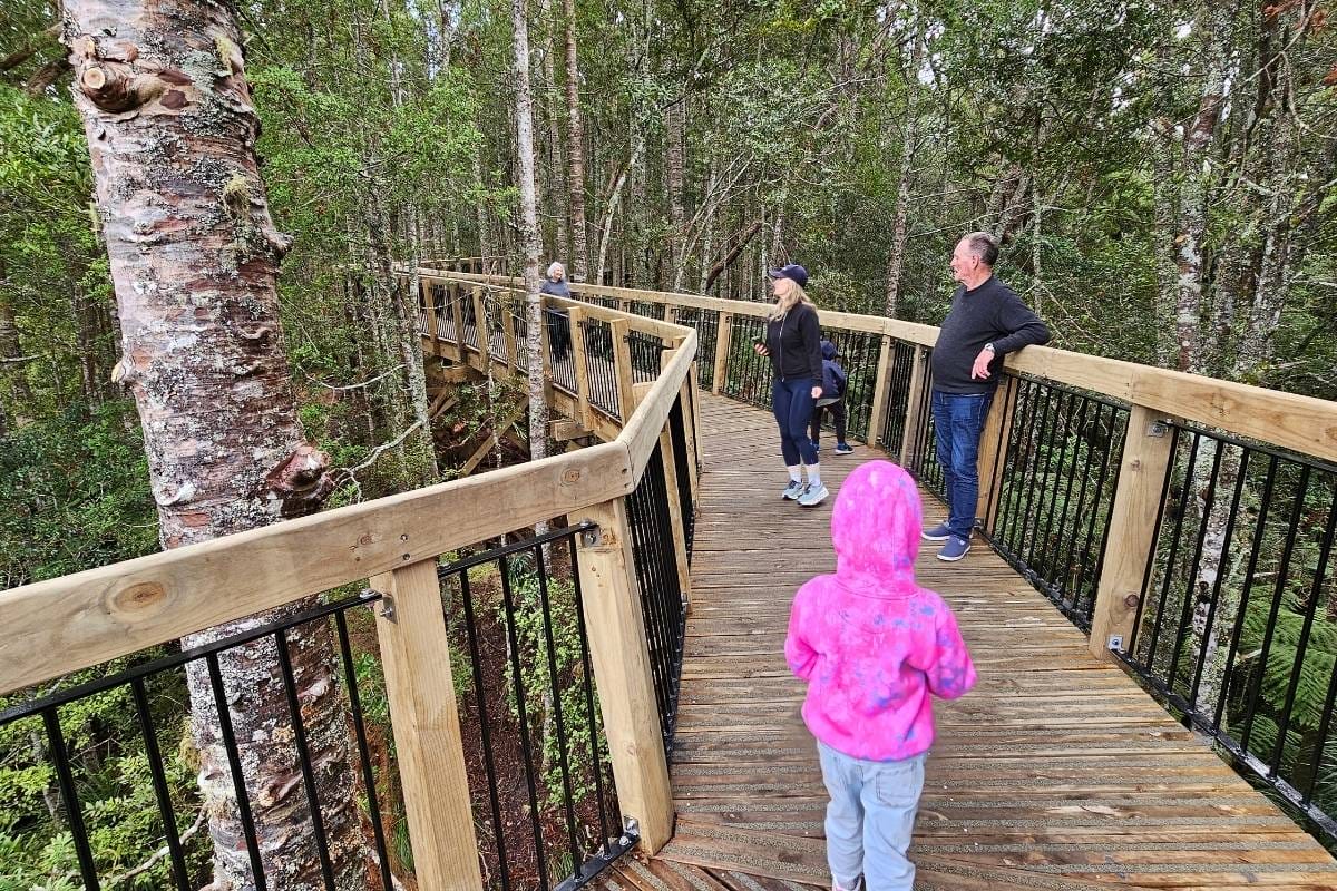 Visitors stroll on a scenic bridge at the Kauri Glen Reserve