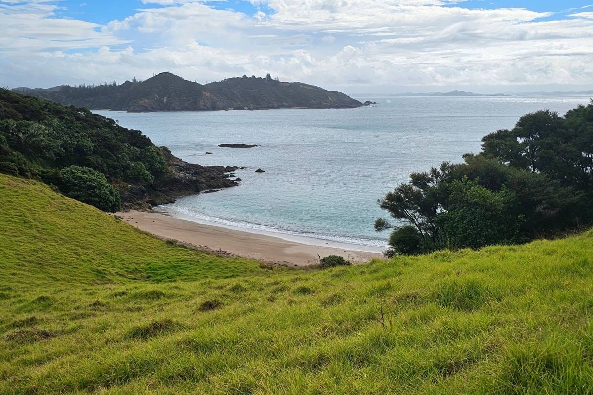 a beach from the top of a grassy hill