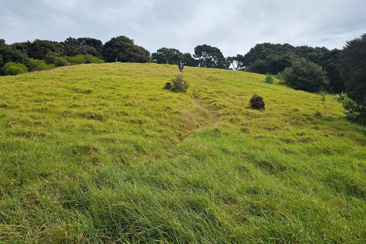 a person standing on top of a grassy hill with trees in the background