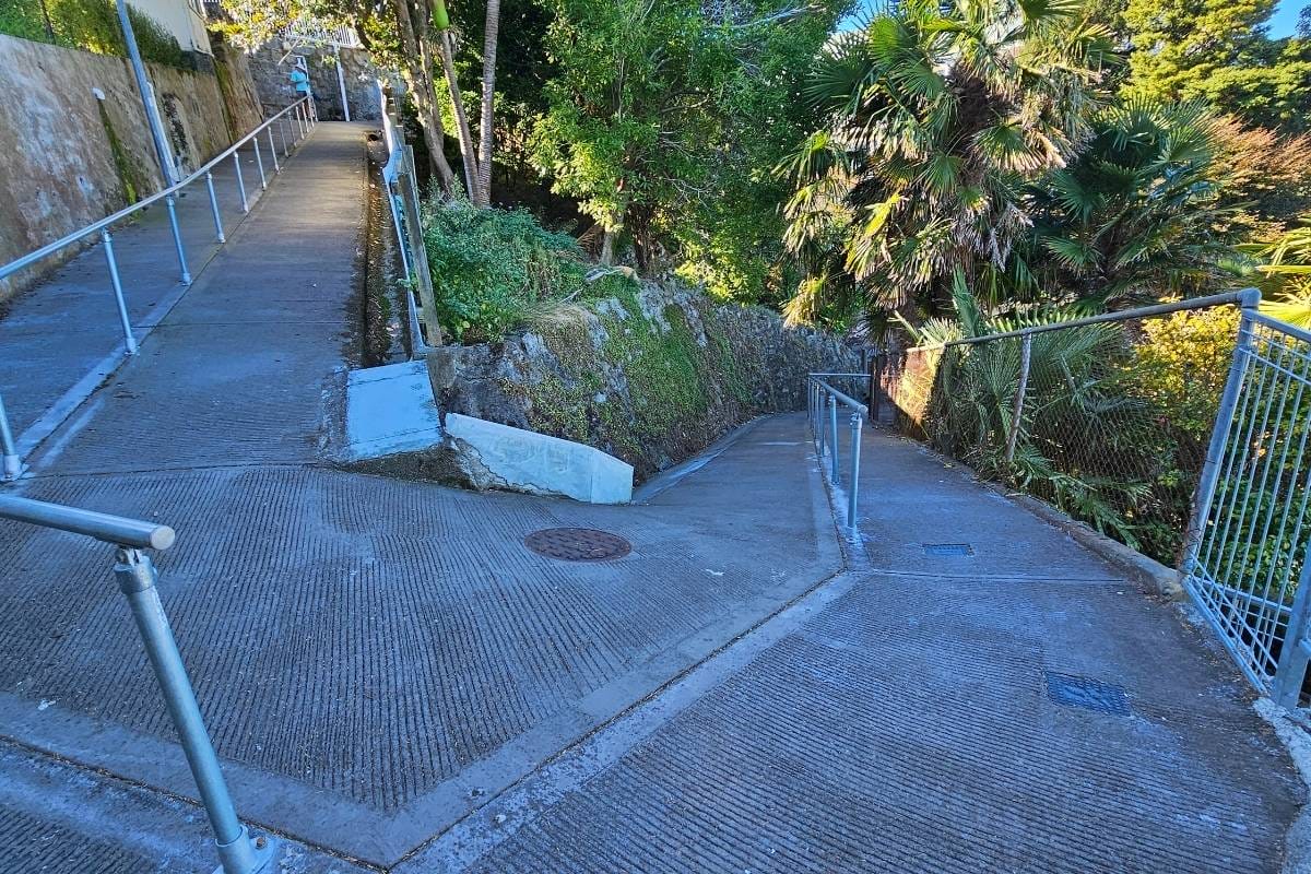 a wooden staircase in a forest