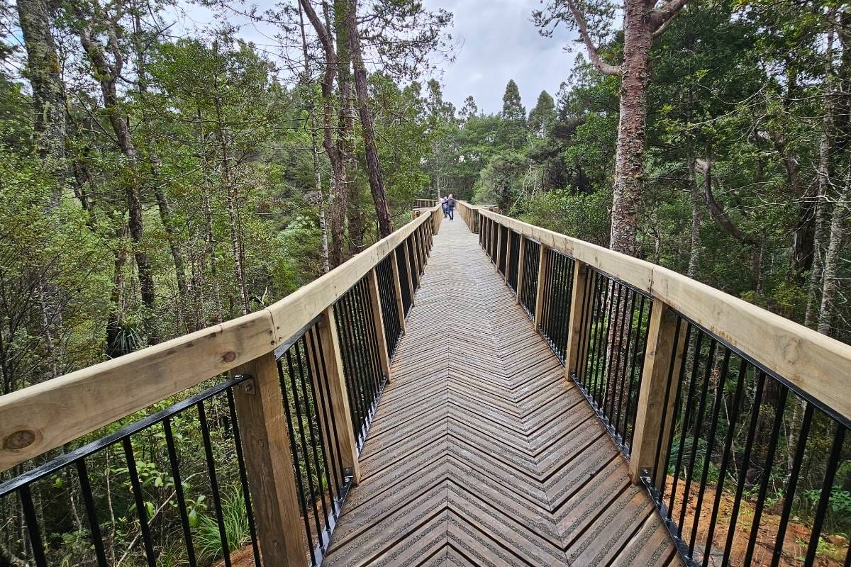Main wooden bridge in the Kauri Glen walk