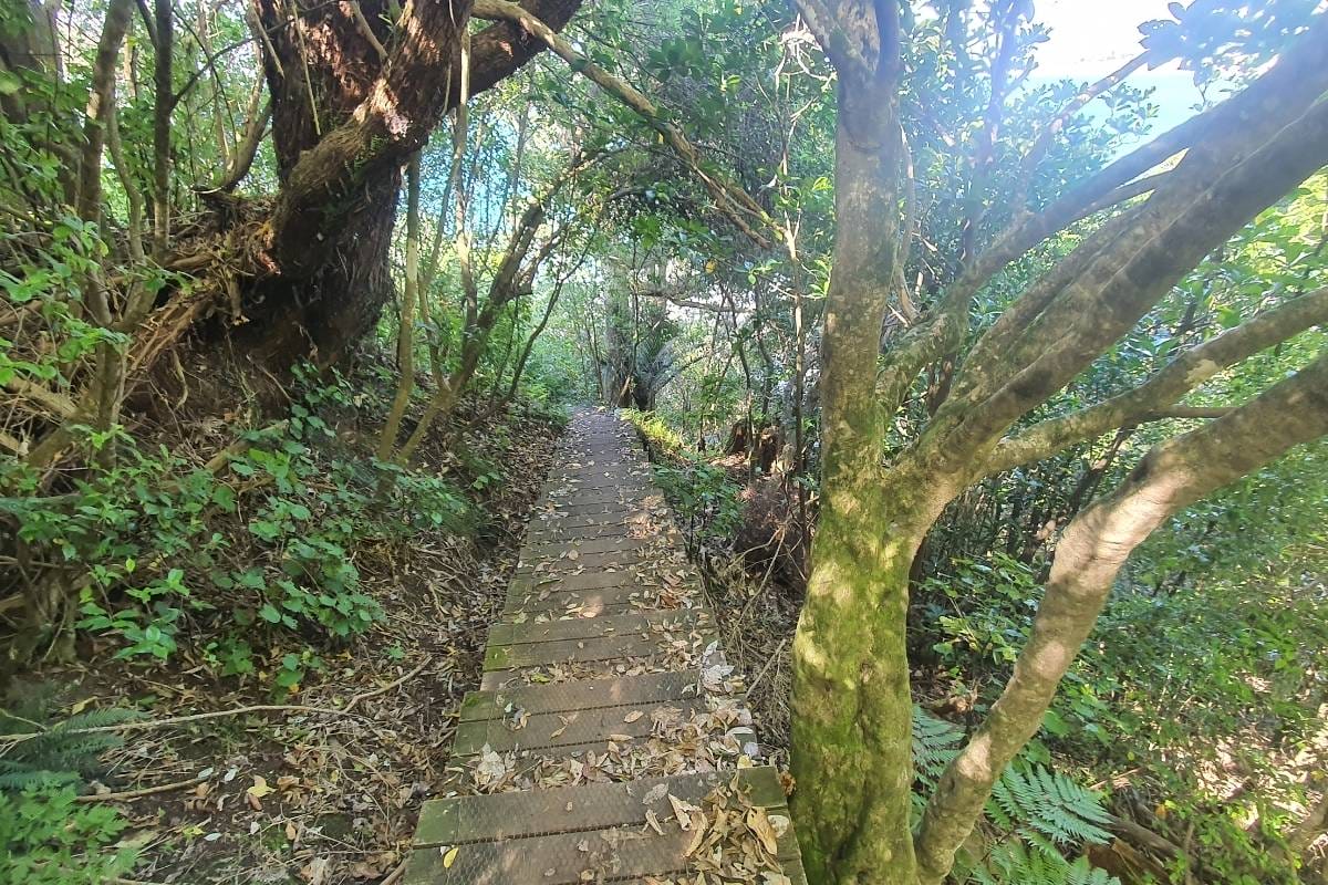 Sandy shores and fiery skies await at the end of the path