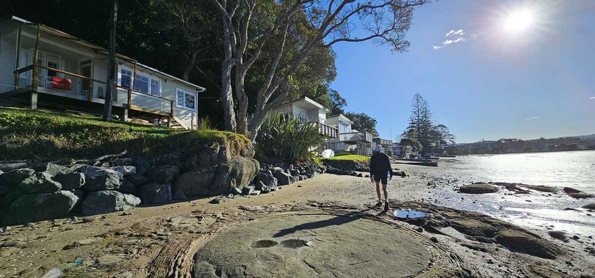 Beachfront baches at Sandspit at low tide