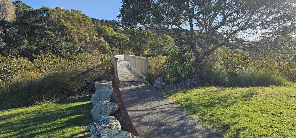 Boardwalk and path through the wetland
