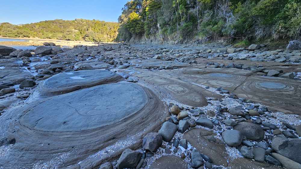 Circular concretion patterns in the rock platform at low tide