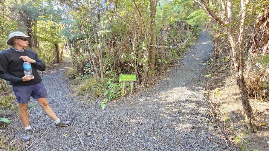 Harrison's Hill track sign pointing to Puriri Place