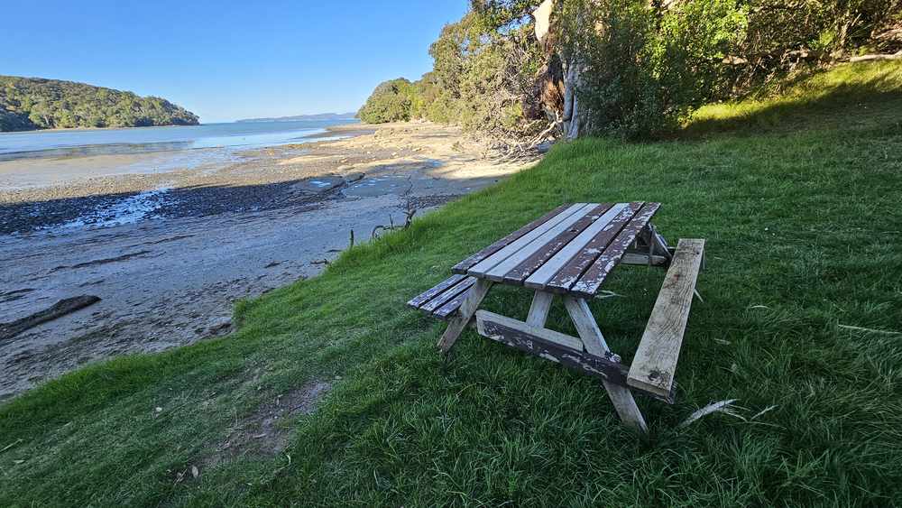 Weathered picnic table on the grass above the beach