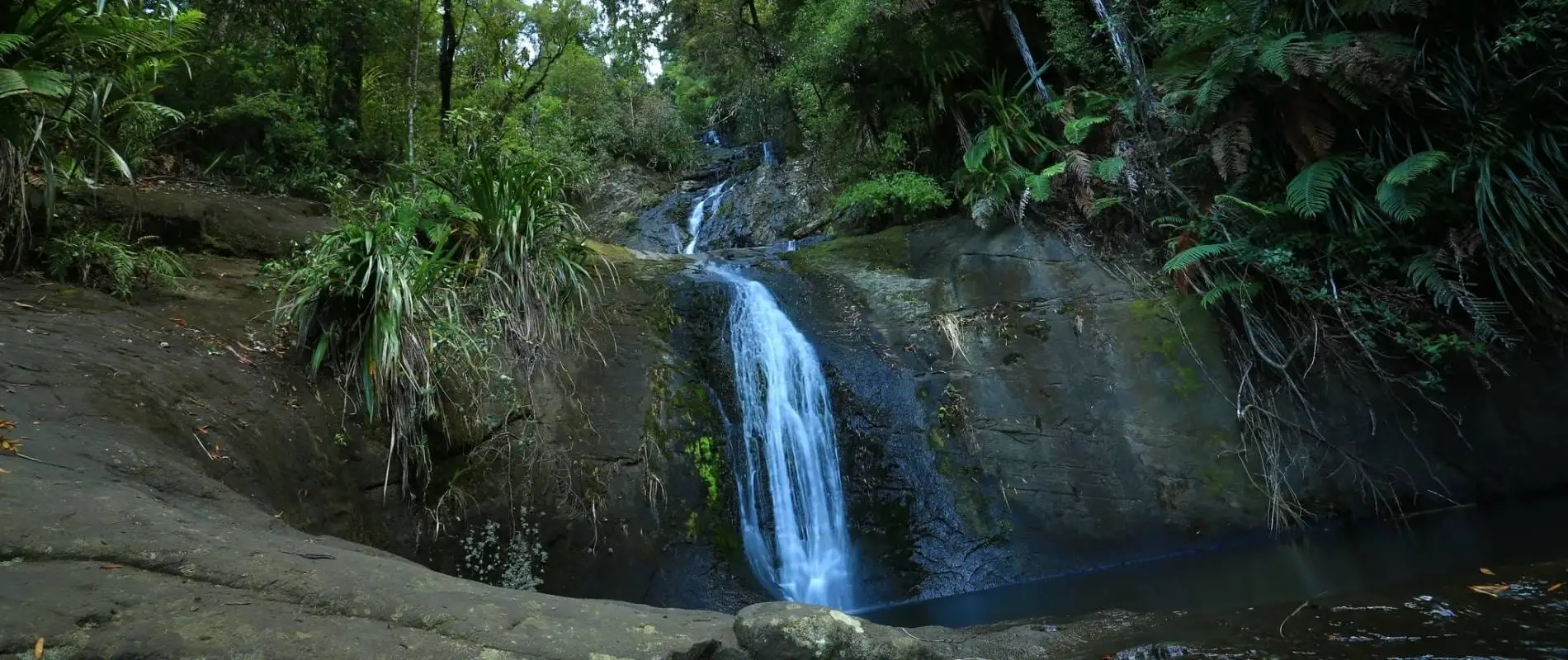 Dive Into the Magic Fairy Falls Walk