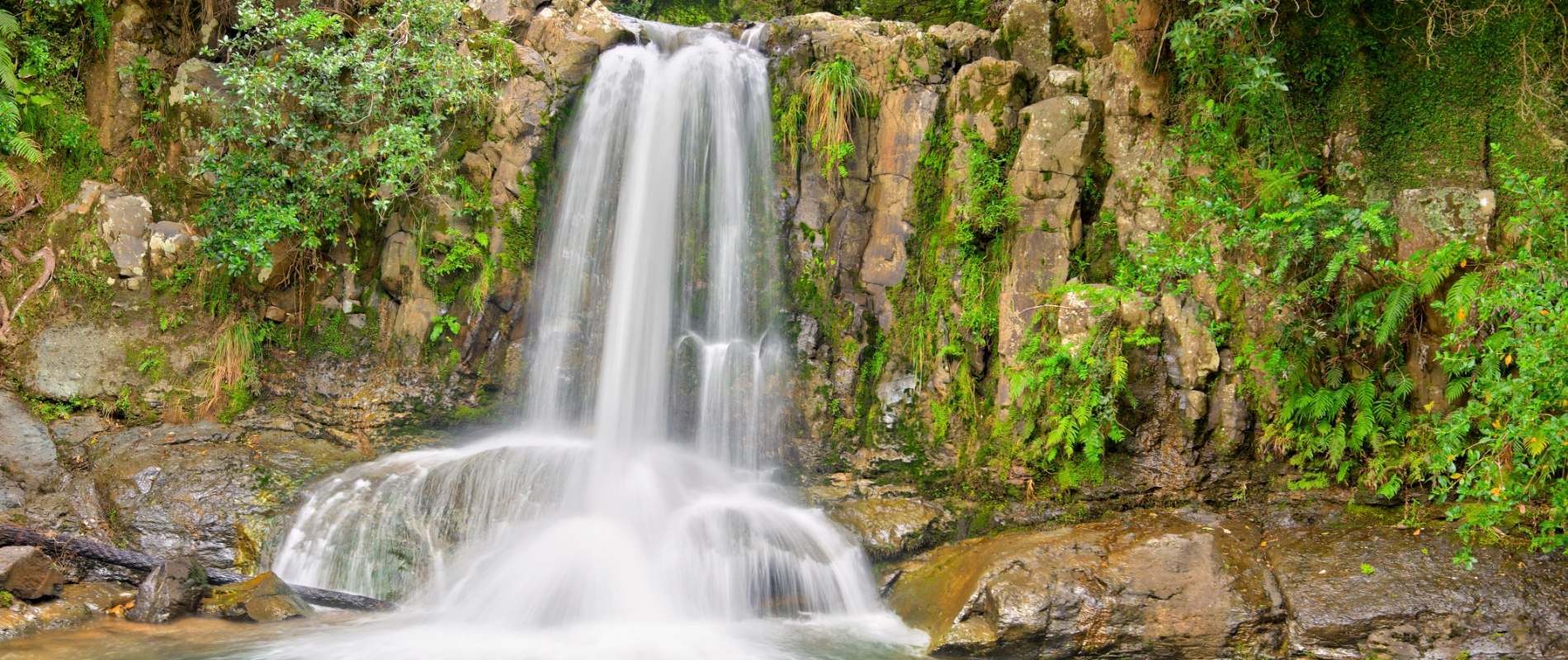 Waiau Falls walk