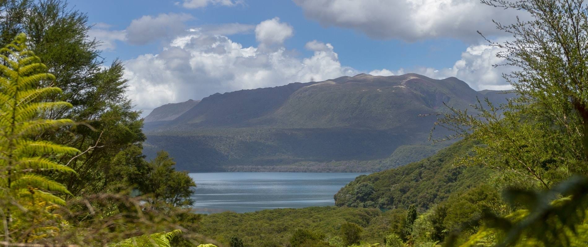 You Won't Believe This Hike The Tarawera Trail