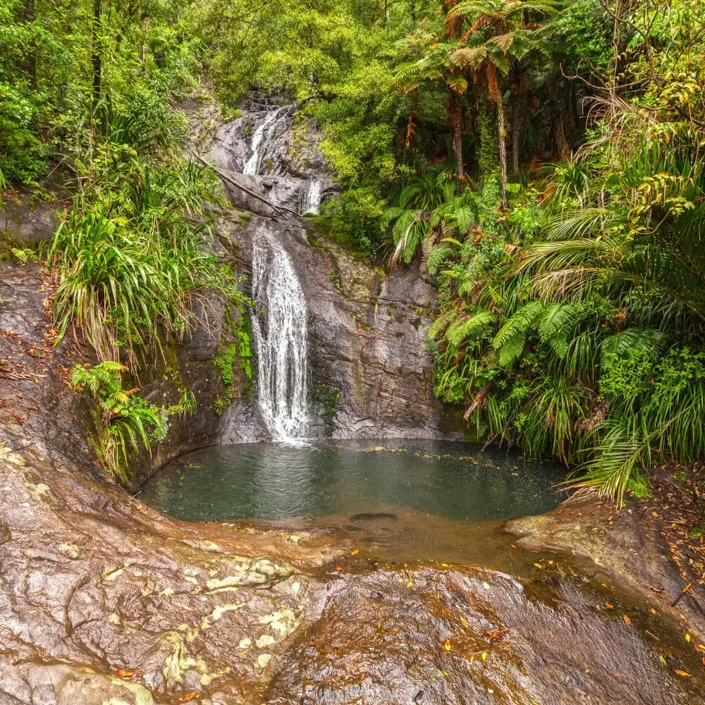 Fairy Falls in the Waitākere Ranges on the Montana Heritage Trail in the Cascade Kauri Park in Auckland