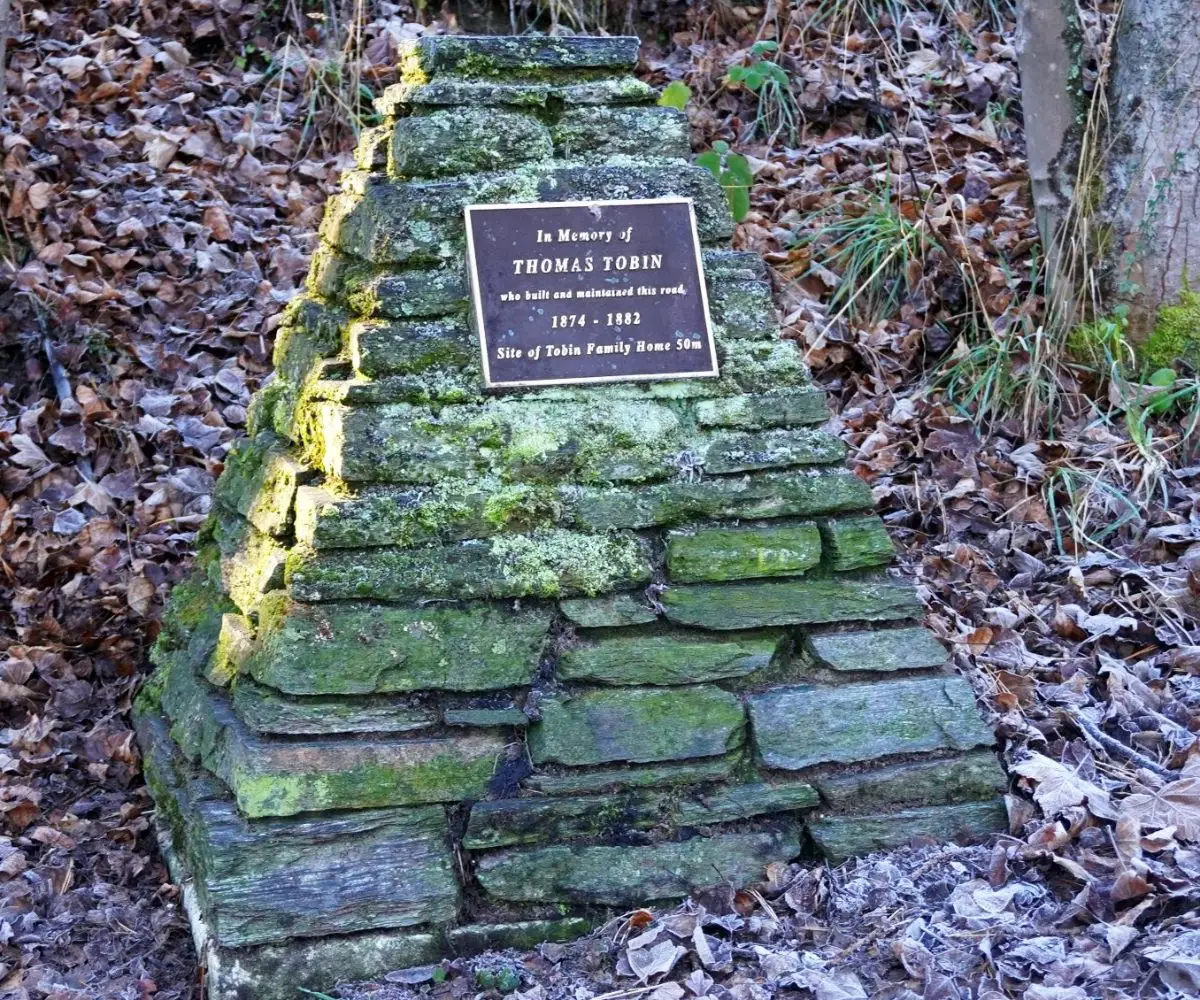 History In Memory of Thomas Tobin