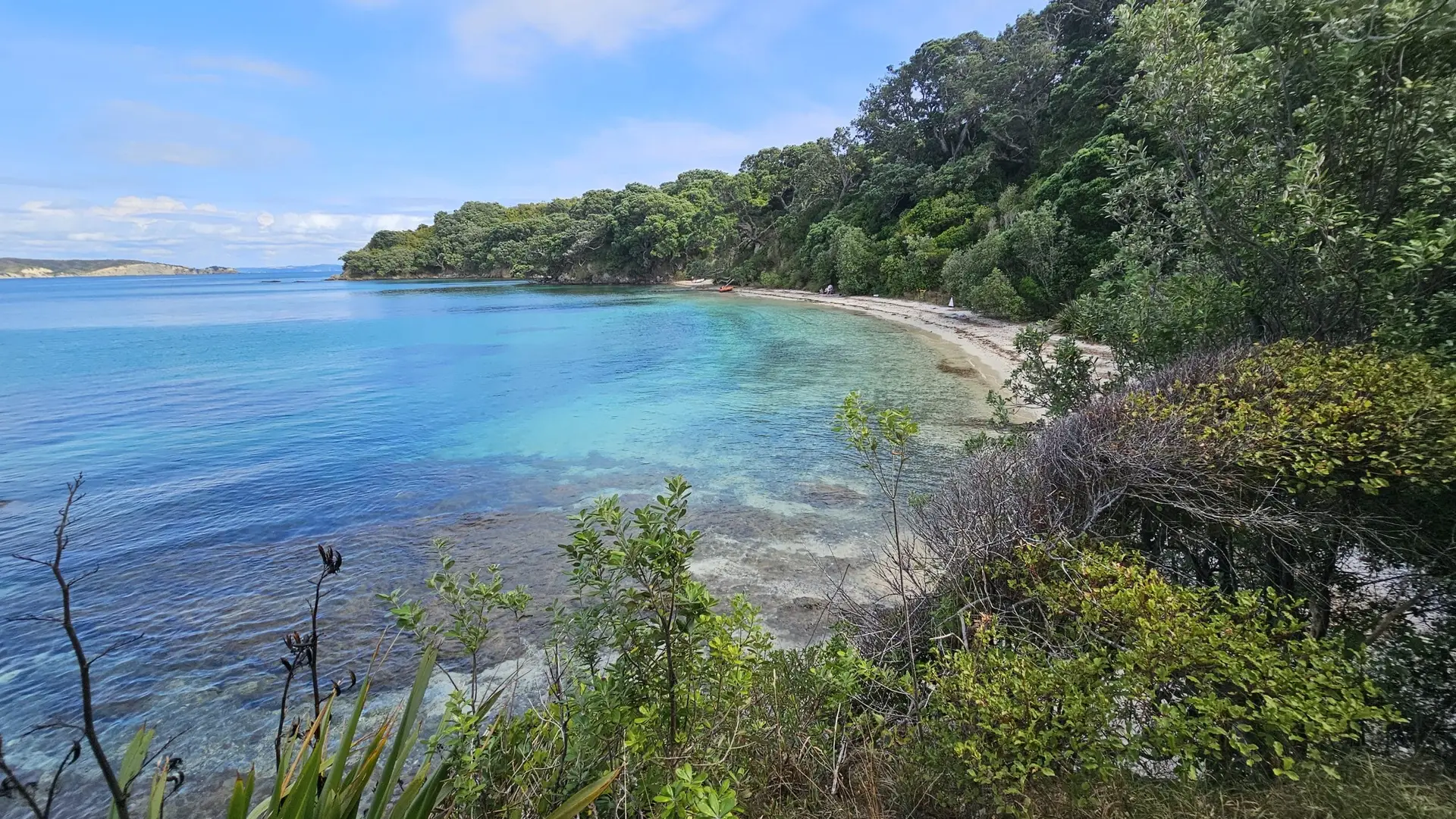 Hobbs Beach on Tiritiri Matangi Island