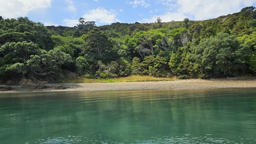 Arriving by boat to the start of Stony Batter walk on Waiheke Island