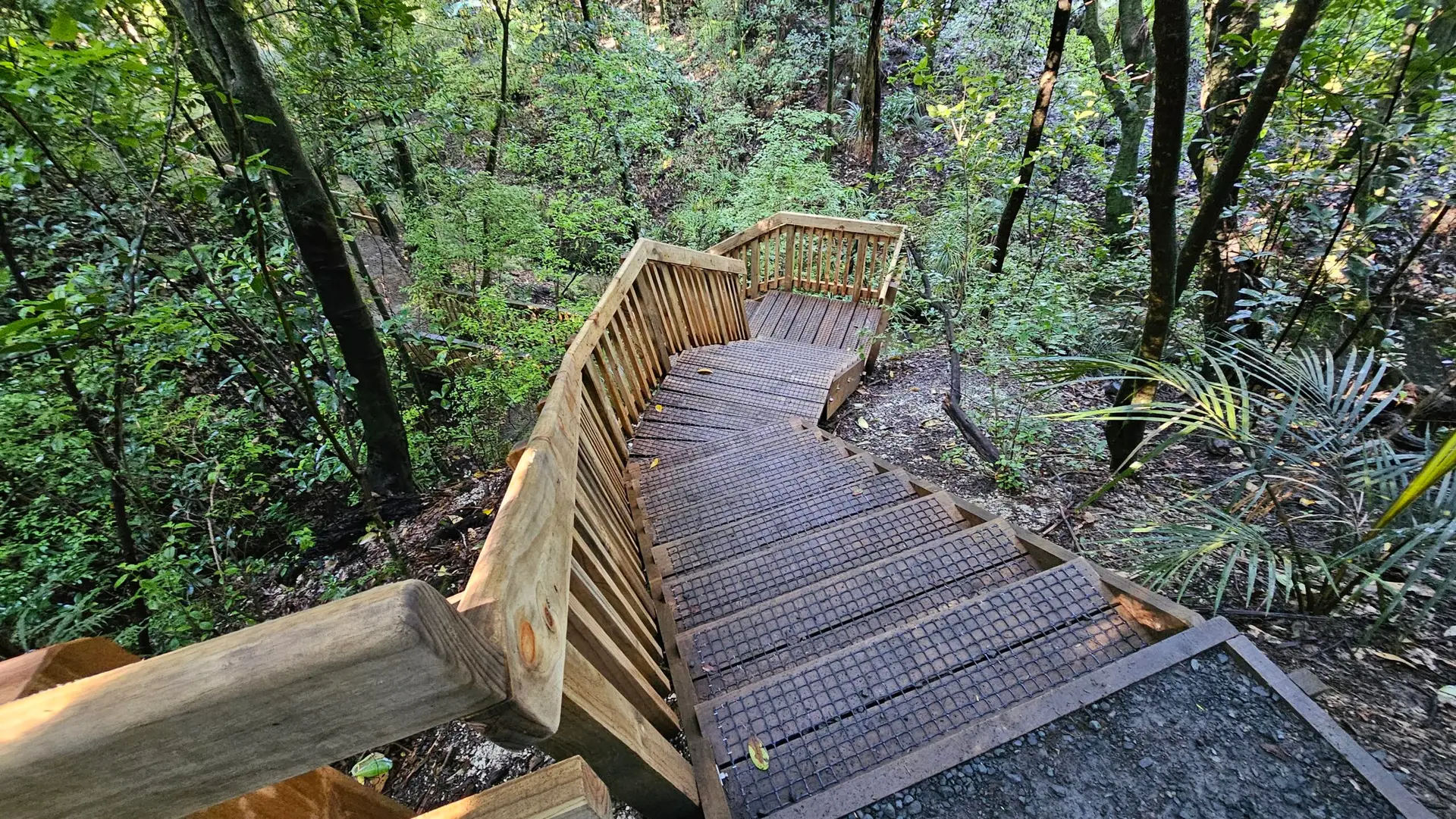 Kauri Park Loop Walk, Warkworth
