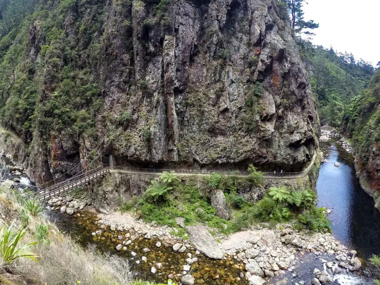 Waihi walks and hiking