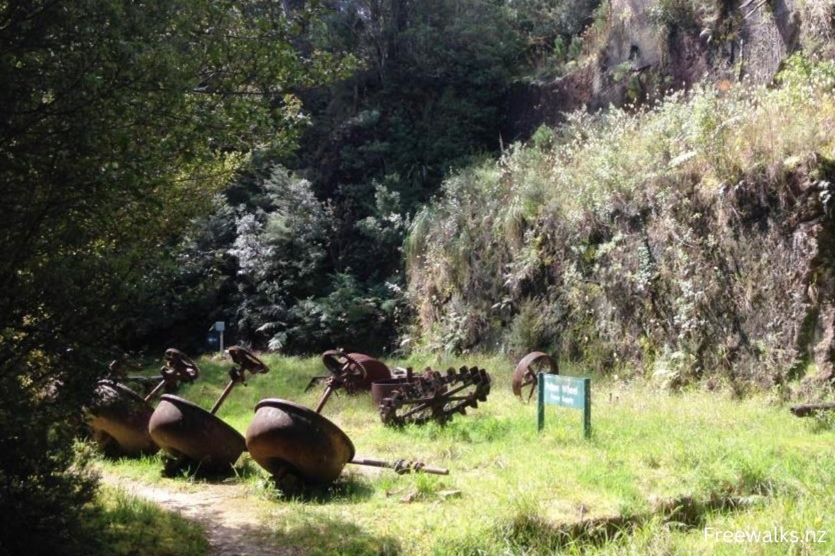 Luck at Last Mine Track: Whangamata's Gold Rush Trail