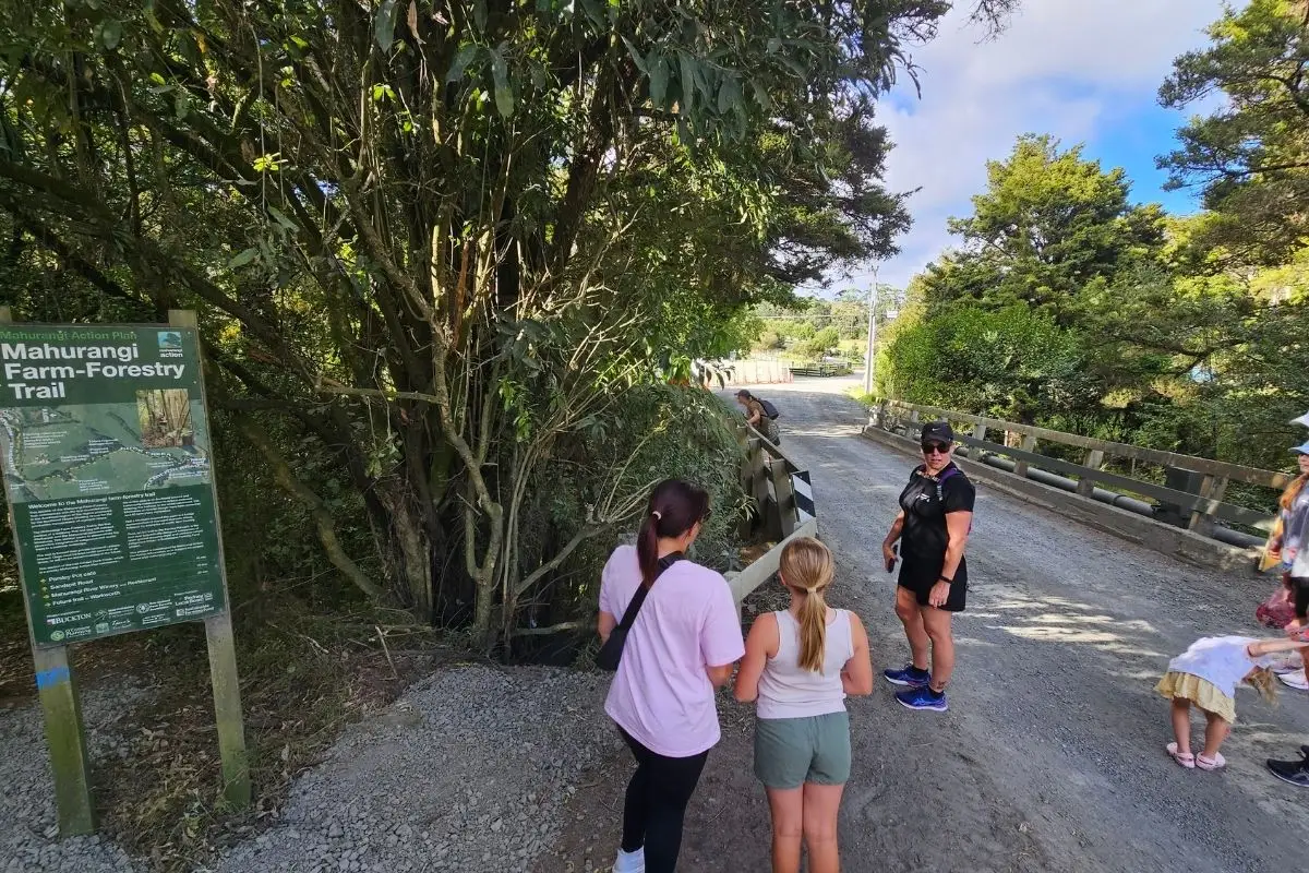 Mahurangi Farm-Forestry Trail, Mahurangi East (8)