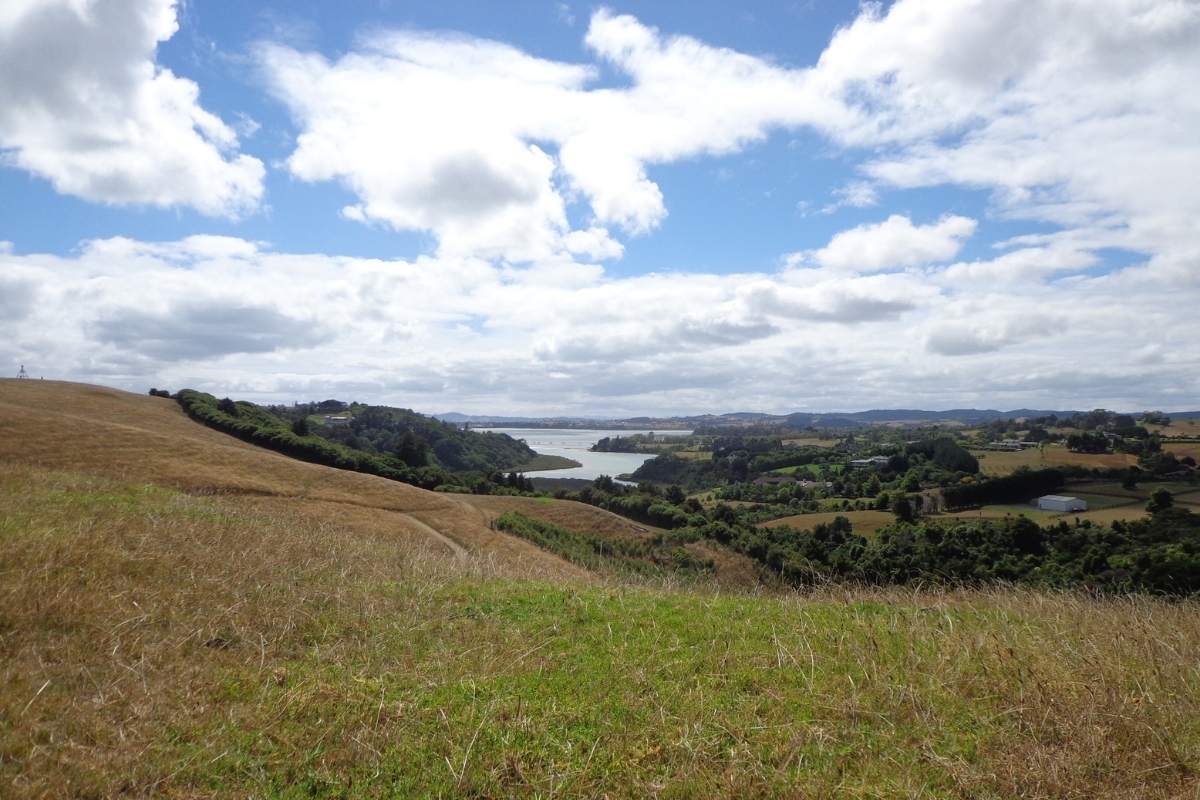 Mangemangeroa Reserve Walking Track in Auckland (2)