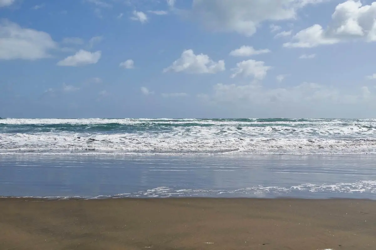 Muriwai Beach near Auckland