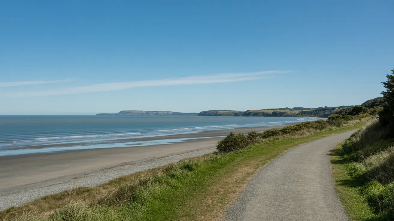 Stunning photograph taken of the Tawhitokino Beach Track walk in Clevedon, New Zealand on a bright sunny day.