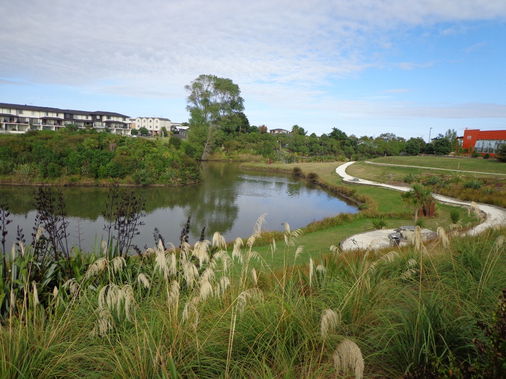 Botany Walks in East Auckland