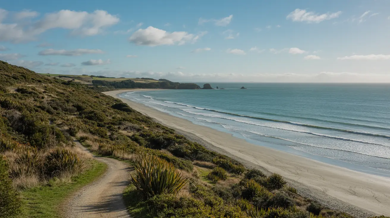 Stunning photograph taken of the Coastal Loop (or Pāwhetau Pā Track) in Waitawa Regional Park walk in New Zealand on a bright sunny day.
